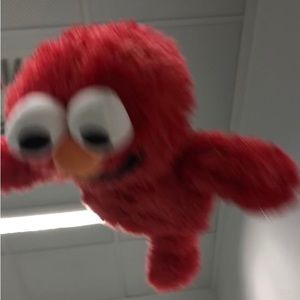 Meet your Posher, Carol